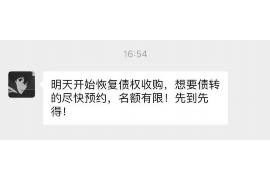 绥中债务清欠服务